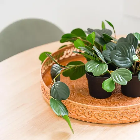 Guestready - Beer Garden Lejlighed Porto