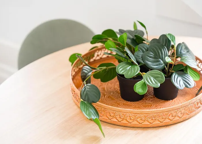 Guestready - Beer Garden Apartment Porto